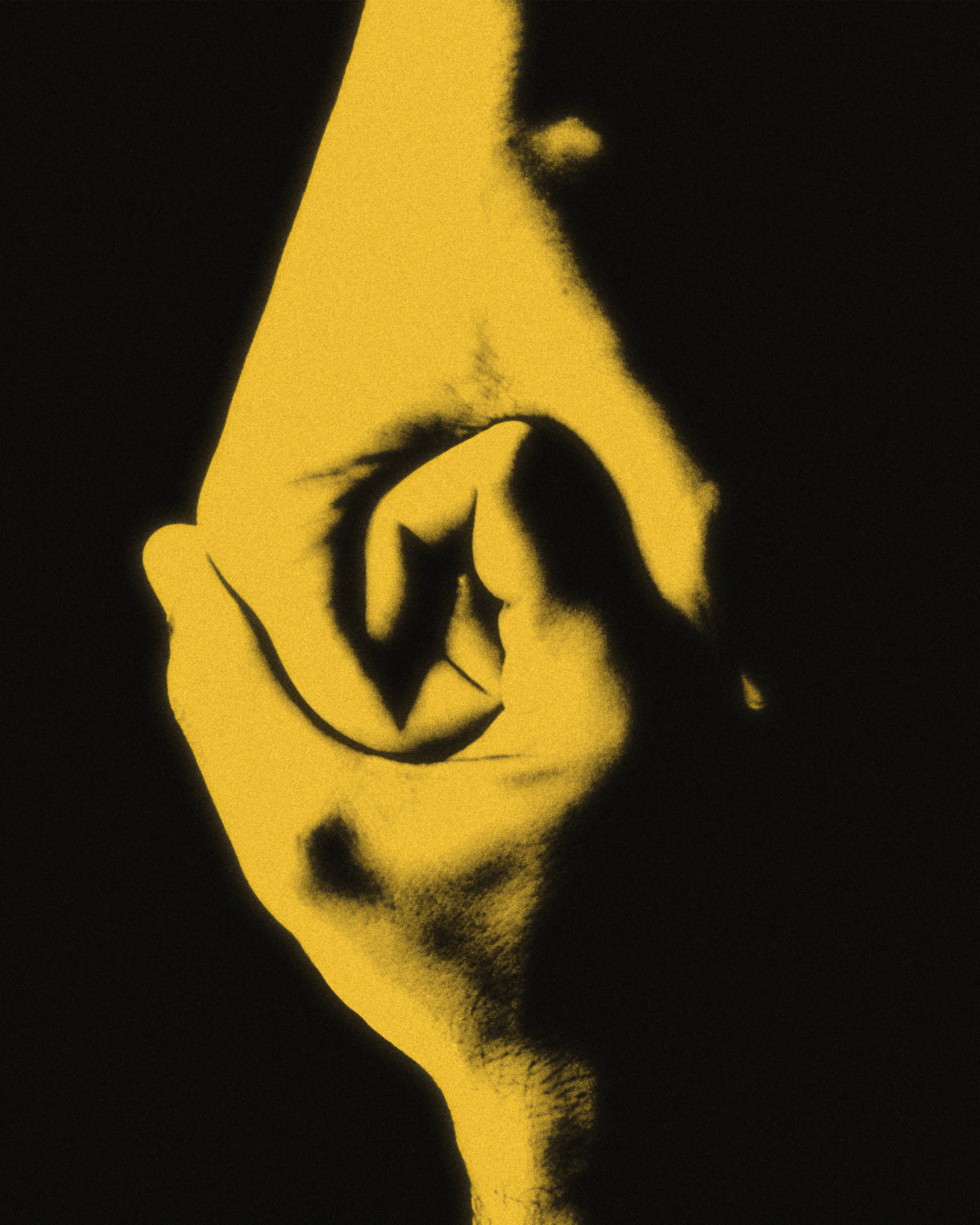  Sylvia Perez Creative Direction