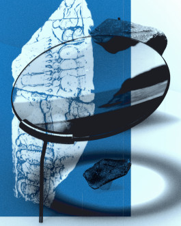  Sylvia Perez Creative Direction