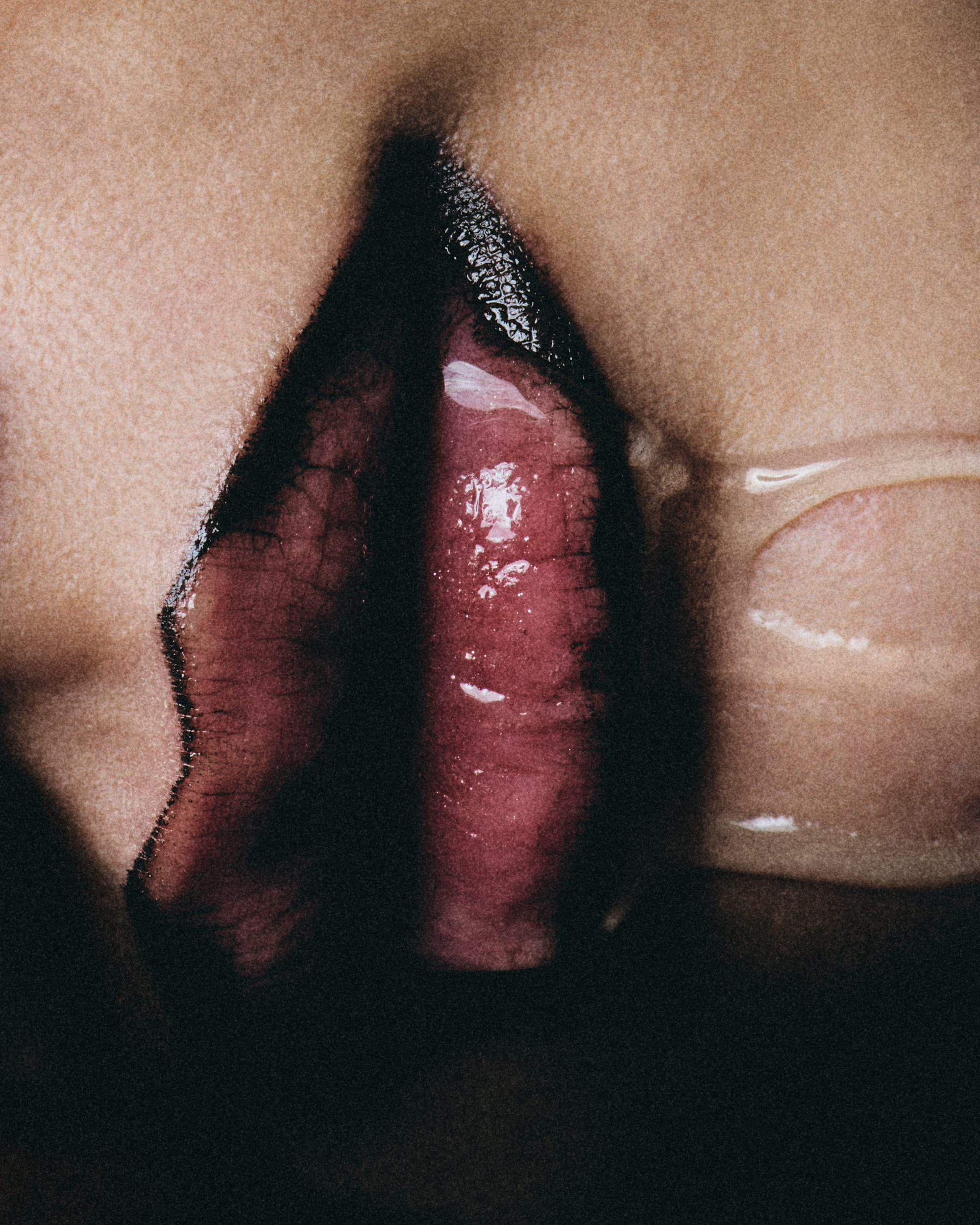 Sylvia Perez Creative Direction